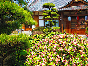 春の風景その2