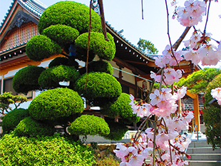 春の風景その4