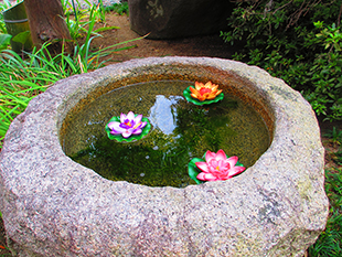 夏の風景その2